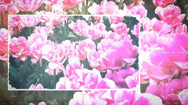 Аптекарский огород МГУ 2021 смотреть онлайн