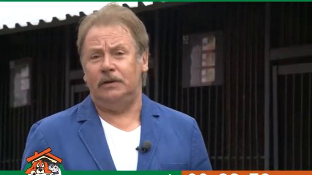 Валерий Алексеев и пес Шейн в приюте "Друг" смотреть онлайн