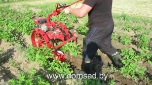 Мотоблок «Салют5-Л6.5» («Агат-Л6.5») и дисковый окучник.