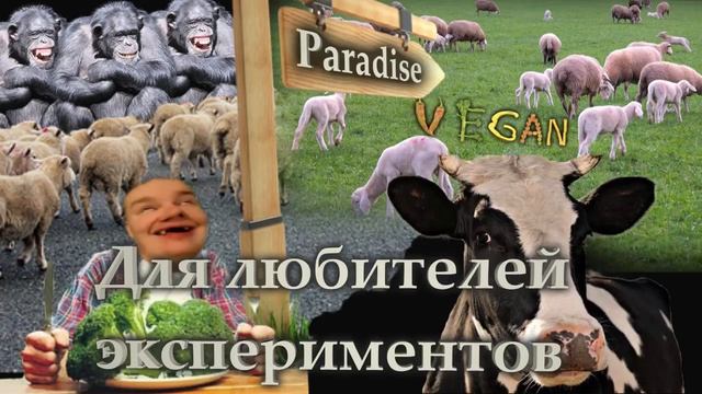 С. Савельев Для любителей экспериментов на себе смотреть онлайн