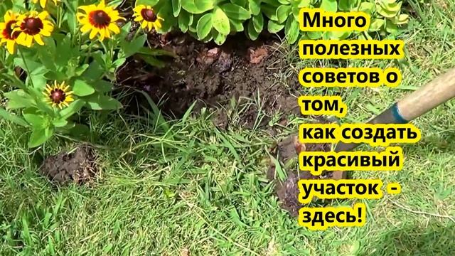 ??? Как обработать край цветника лопатой - ландшафтный дизайн смотреть онлайн