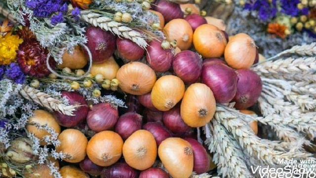 Художественная Гимнастика