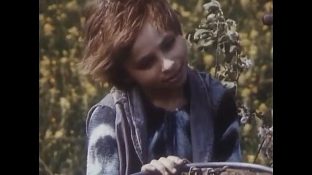 Сказочная психология. "Песня о звездах" (2 части) из сказки "Про Красную Шапочку" смотреть онлайн