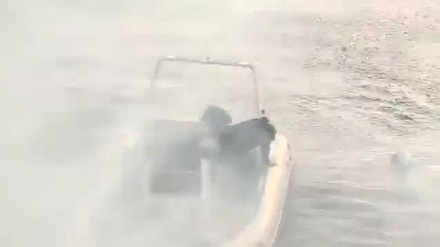 Russian Fishing and Grenade Fail смотреть онлайн