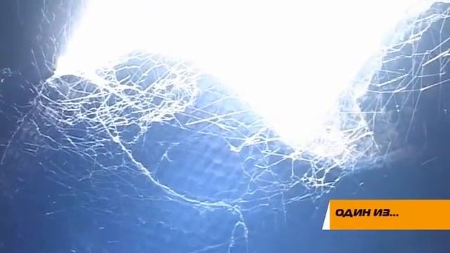 Ремонт салдинского дома с протекающей крышей запланирован на 2027 год смотреть онлайн