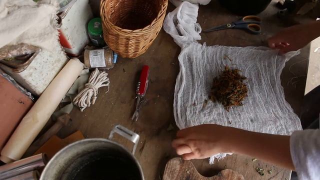 Окрашивание ткани натуральными красителями: Бархатцы / Natural Dyes: Marigold