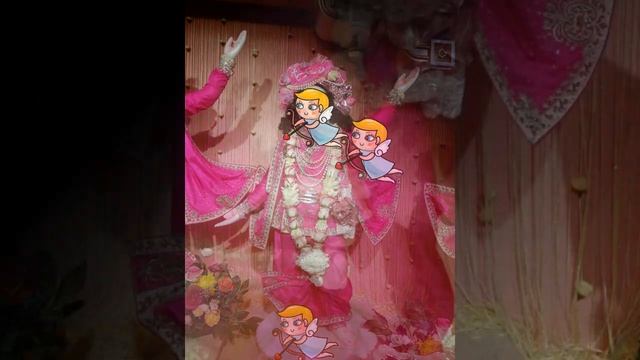 Итоги изготовления цветочной гирлянды #Shorts от Цветоныша, который любит Кришну смотреть онлайн