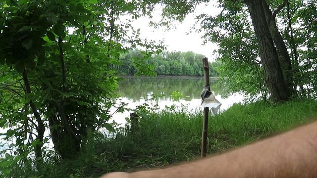 Деготь от комаров | Тест народного средства против гнуса смотреть онлайн