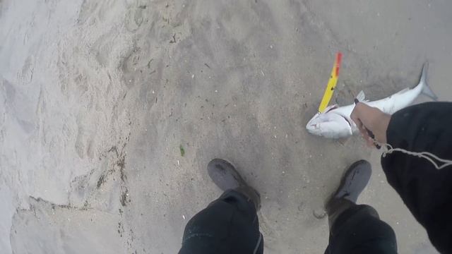 Fishing for BLUEFISH at Jones Beach & "THE THREE MEN" - A Celestial Story смотреть онлайн