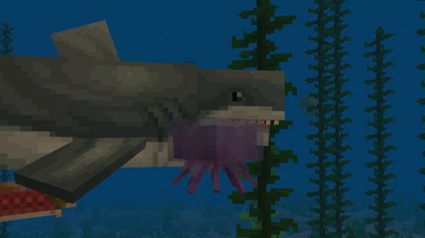 Naturalist Add-On (Official Trailer)