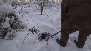 ВЫКОПАЛ ЗОЛОТО у СТАРОЙ НЕМЕЦКОЙ ЛИВНЁВКИ. POISK ZLATA SEREBRA