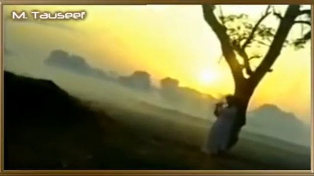 Shaukat Ali - Jis Dil Andar Ishq Samaya (Saif Ul Malook) смотреть онлайн
