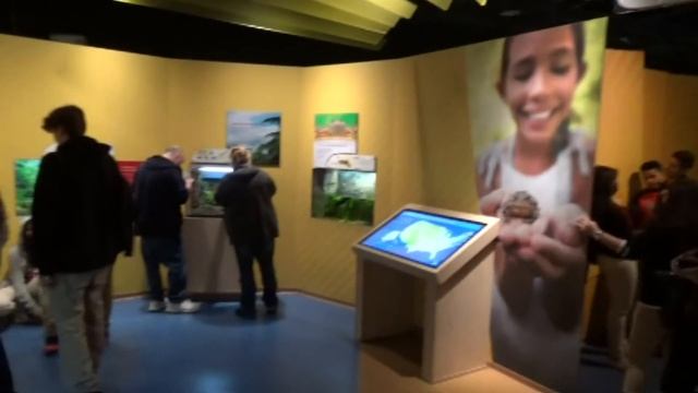 Shedd Aquarium (in Chicago) Tour & Review with The Legend смотреть онлайн