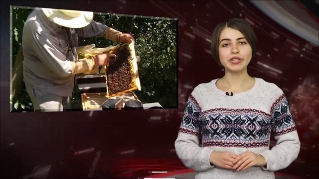 Медичне різноманіття: краяни розповіли про методи лікування застуди смотреть онлайн