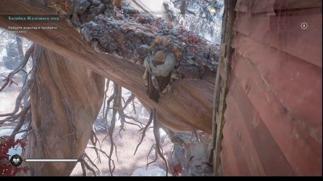 ACValhalla Ётунхейм Камень крови Имира Чаща леса