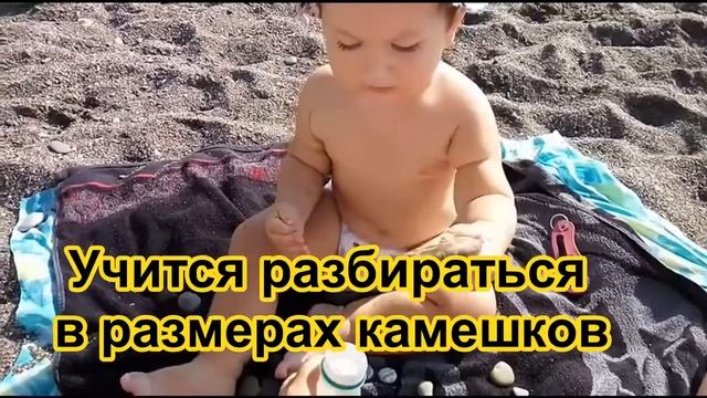 Мишаня отдыхает на море. Солнце, воздух и вода - его лучшие друзья! смотреть онлайн