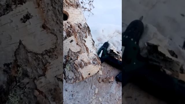 Синичник своими руками! смотреть онлайн