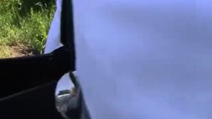 Замятина Наталья - Съедобные садовые и дикорастущие растения