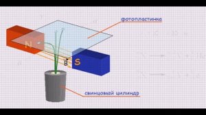 Радиоактивность  Виды излучения.