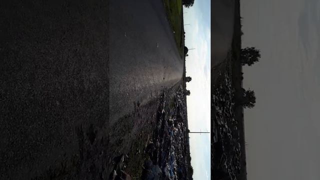 Курская область.поселок Золотухино