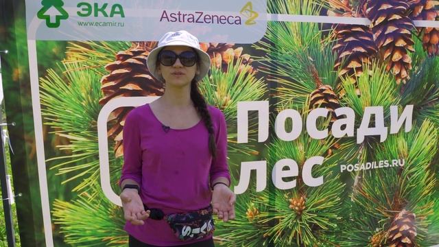 Посадка леса в Республике Башкортостан 13 мая 2021
