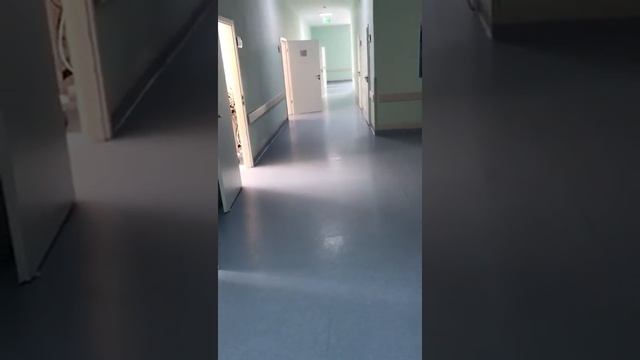 Главный врач показал работу городской больницы №1 смотреть онлайн