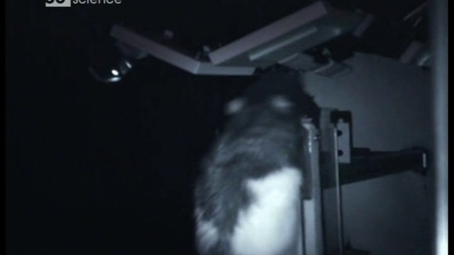 07с. смотреть онлайн