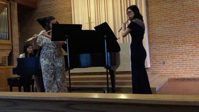 Doppler Andante and Rondo Flute Duet смотреть онлайн