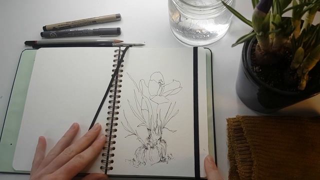 Crocus in Line and Wash | Realtime | Fineliner and Watercolor смотреть онлайн