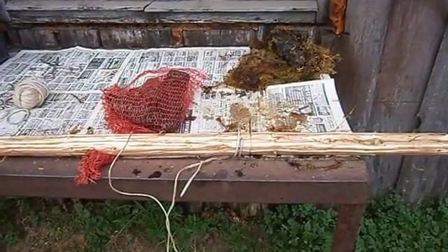 Водяная лилия Нимфея. Хранение. смотреть онлайн