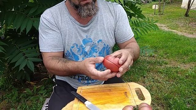 Томат гном Дикий Фред смотреть онлайн