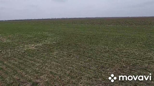 Вносим сульфат аммония под подсолнечник 2021. Эксперимент на пшенице 150 кг сульфата амония Шпаловк смотреть онлайн