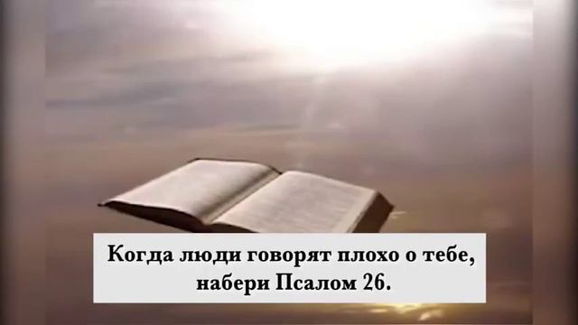 Чего мы больше любим? смотреть онлайн