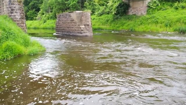 Сплав по реке Лава в Калининградской области 18.06.2022 смотреть онлайн