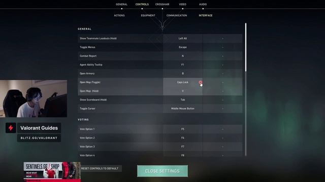 Tenz's Valorant Settings смотреть онлайн