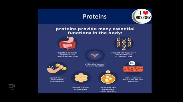 Introduction to Proteins/Zeeshan Saeed Biology Lecturer/ Biology1st Year| Chapter No.2| Lecture No. смотреть онлайн