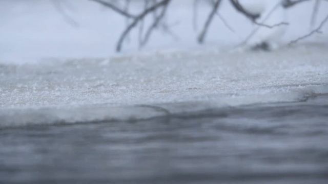 Оляпка. Зимовка на Лососинке. Зимняя река в Карелии. смотреть онлайн