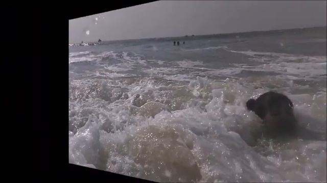 Гоа Велсао Колва Церковь трёх королей смотреть онлайн