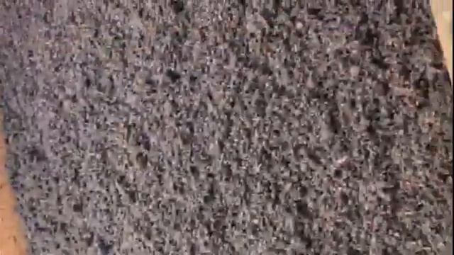 Отчет эксперимента по моей технологии приготовления субстрата и корма, от добровольца Александра. смотреть онлайн