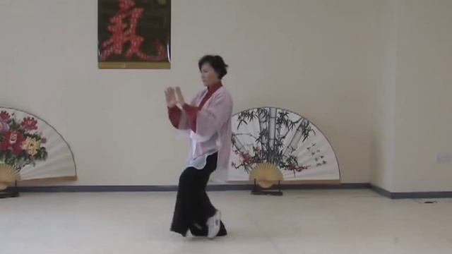 Traditional Sun Style Tai Ji Quan 97 Step by master Faye Yip смотреть онлайн