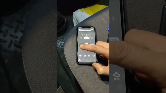 Starline S96, обзор возможностей при подключении по аналогу