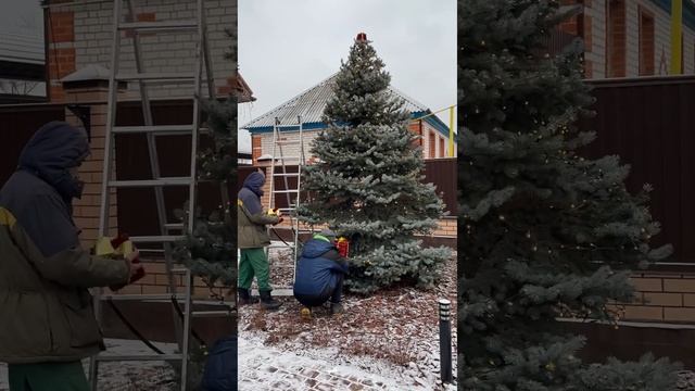 Новогоднее оформление участка смотреть онлайн