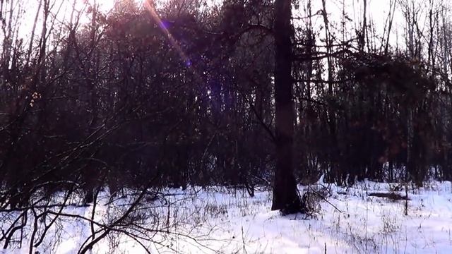 САМВЕЛ СТРАННАЯ ЗАРЯДКА ДЛЯ МАМЫ. В БАССЕЙНЕ С БУЛЬТЕРЬЕРАМИ смотреть онлайн