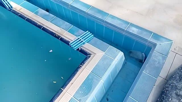 Первый запуск переливного бассейна