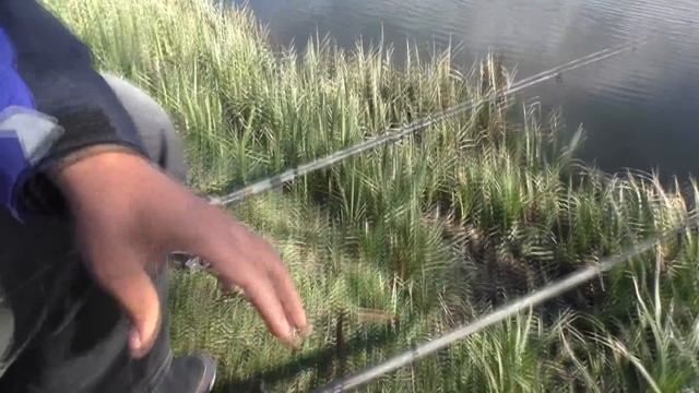 Секретное оружие для рыбалки)) или чем привадить карася? смотреть онлайн