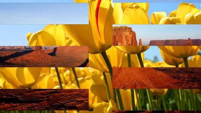 красивые фотки под музыку смотреть онлайн