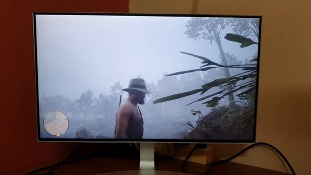 RED DEAD REDEMPTION II On PS4 Slim (1080P Monitor)