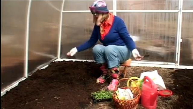 Укроп и редиска. Теплица .Сажаем правильно смотреть онлайн