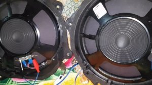 Bose 10" Car woofer with Pioneer Carrozzeria Bass Test(2)