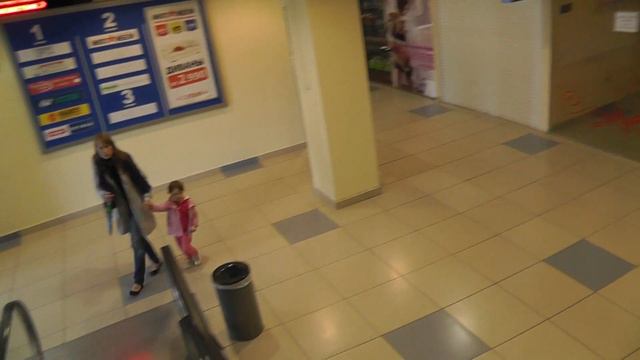 26.07.2014 ИДУ НА ВЫСТАВКУ КОШЕК 02503 смотреть онлайн